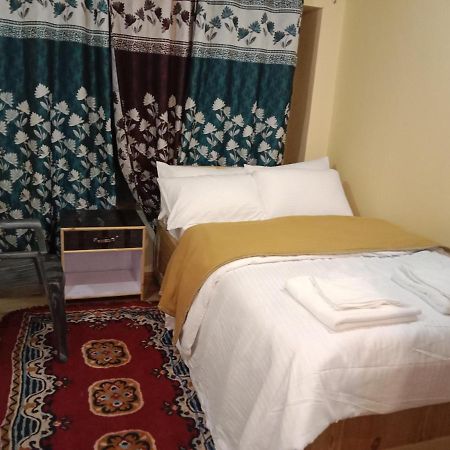Shingkula Guest House Zanskar Padam Eksteriør bilde